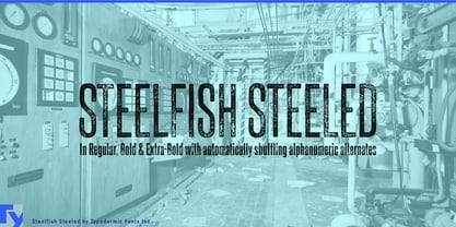 Steelfish Steel Font Poster 1