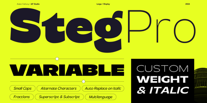 Steg Pro Font Poster 1