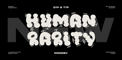 Human Rarity Font Poster 1