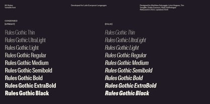 Rules Gothic Variable Font Poster 2