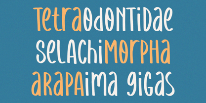 Amazing Dolphine Font Poster 2