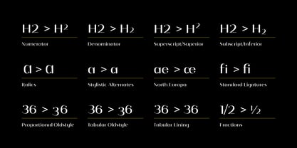 Istanbul Type Variable Font Poster 5