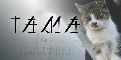 Sakura Font Poster 8