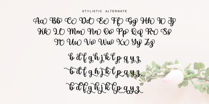 FSY Curly Brush Font Poster 3