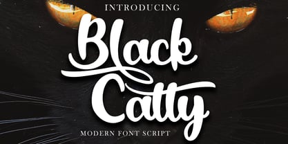 Black Catty Font Poster 1