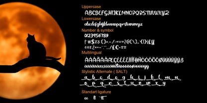 Black Catty Font Poster 7
