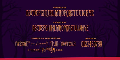 Racula Font Poster 2