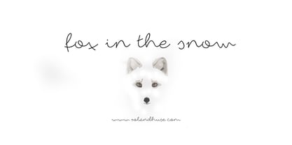 Fox in the snow Font Poster 3