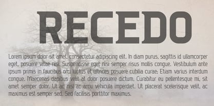 Recedo Font Poster 7