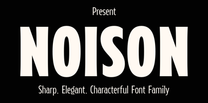 Noison Font Poster 1