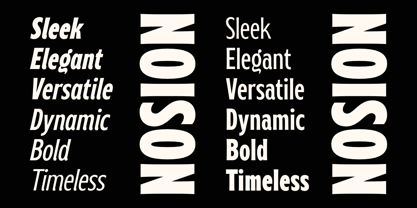 Noison Font Poster 3