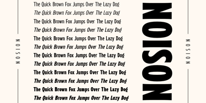 Noison Font Poster 9