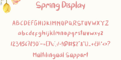 Spring Display Font Poster 6