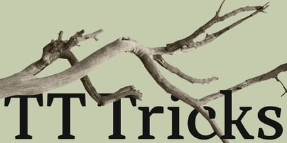 TT Tricks Font Poster 1