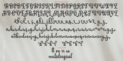 Hakury Font Poster 10