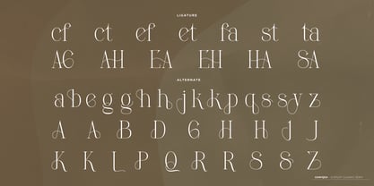 Ganiqsa Font Poster 13