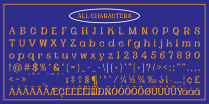 Amigie Rough Font Poster 6