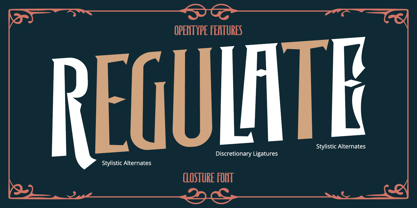 Closture Font Poster 11