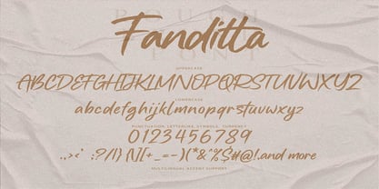 Fanditta Font Poster 6