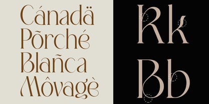 TBJ Movage Serif Display Font Poster 10