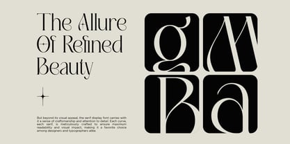 TBJ Movage Serif Display Police Poster 6