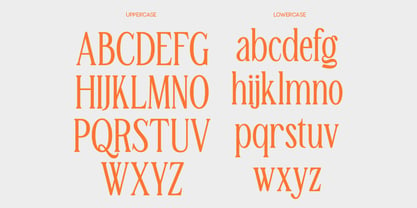 TBJ Malta Condensed Serif Family Fuente Póster 9