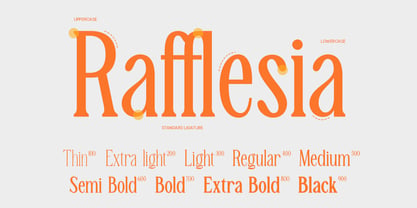 TBJ Malta Condensed Serif Family Fuente Póster 3