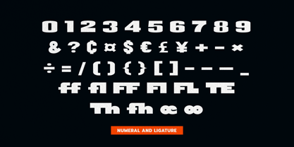 Bold Fintia Font Poster 12