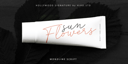 Hollywood Signature Font Poster 5