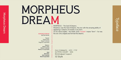 Morpheus Dream Fuente Póster 3