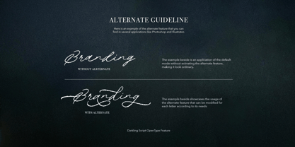 Darkling Font Poster 7