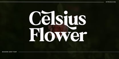 Celsius Flower Font Poster 1