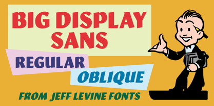 Big Display Sans JNL Font Poster 1
