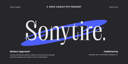 Sonytire Police Affiche 1