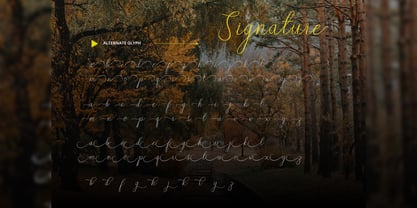 Chanthik Script Font Poster 4