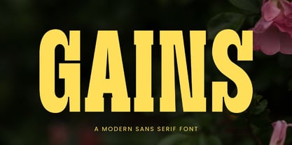 Gains Font Poster 1