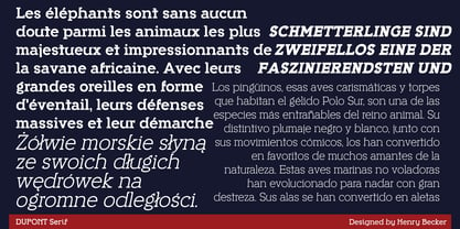 Dupont Serif Font Poster 7