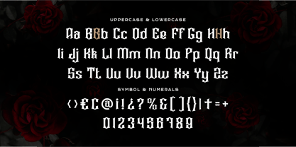 Bosieh Font Poster 5