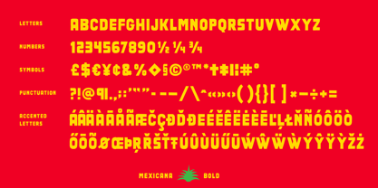 Mexicana Font Poster 6