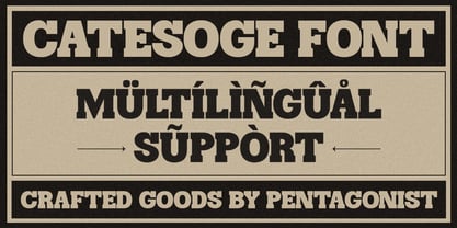 Catesoge PS Font Poster 10