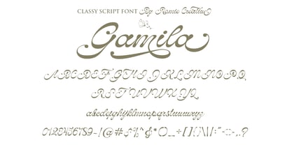 Gamila Font Poster 9