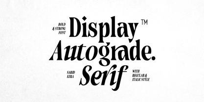 Autograde Font Poster 1