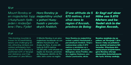 Rondoy Font Poster 7