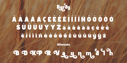 Bardy Font Poster 11