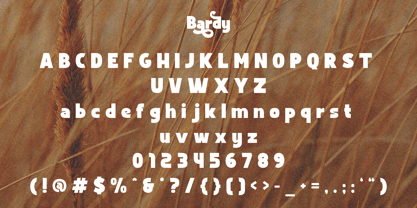Bardy Font Poster 10