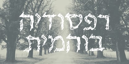 Andrelamusia MF Font Poster 3