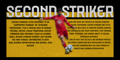 Second Striker Font Poster 3