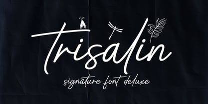 Trisalin Font Poster 1