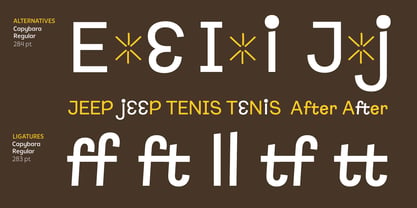 Capybara Font Poster 10