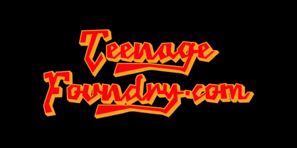 Teenage Rockstar Font Poster 10